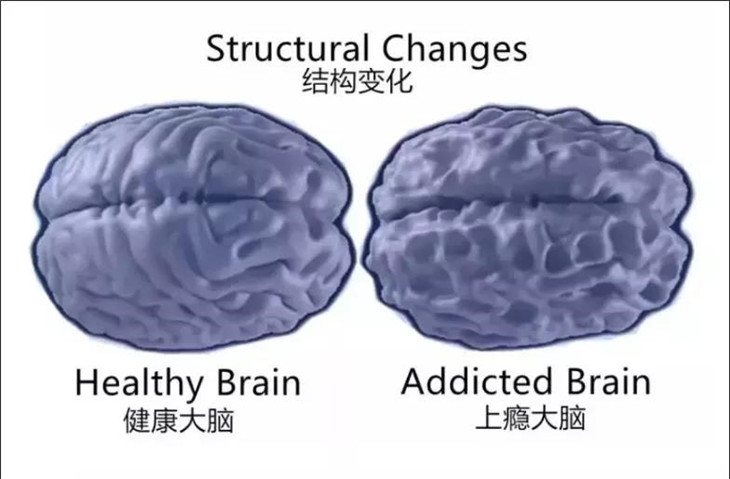 李锋教育学校：父母到底该不该给孩子配手机？_www.hnlfjy.com.cn