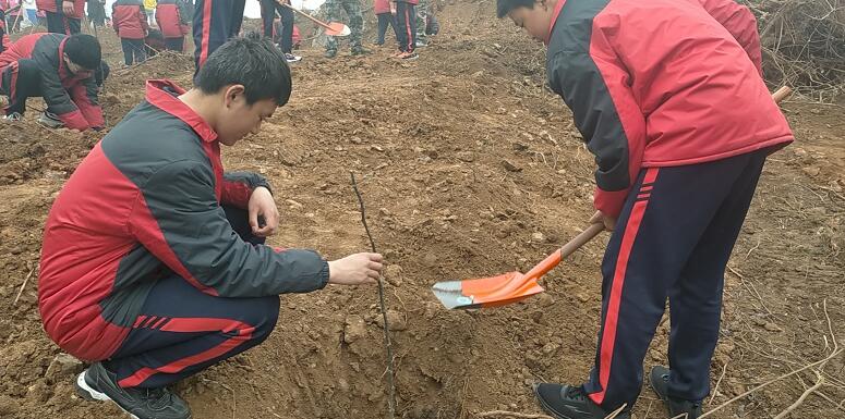 厌学是一种病吗？孩子厌学该怎么办？_www.hnlfjy.com.cn