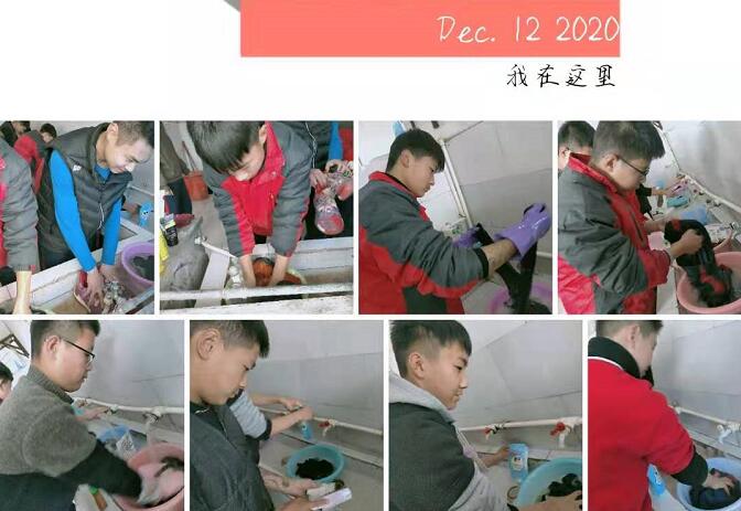 女儿无理取闹且辱骂父母送什么学校好_www.hnlfjy.com.cn