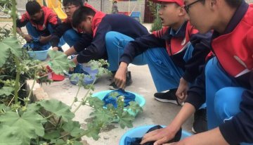 为什么孩子与父母之间的关系越来越疏远？