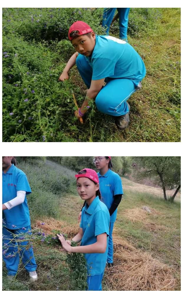 2021年李锋教育暑期夏令营第二期第八天：农家的生活怎么样_www.hnlfjy.com.cn