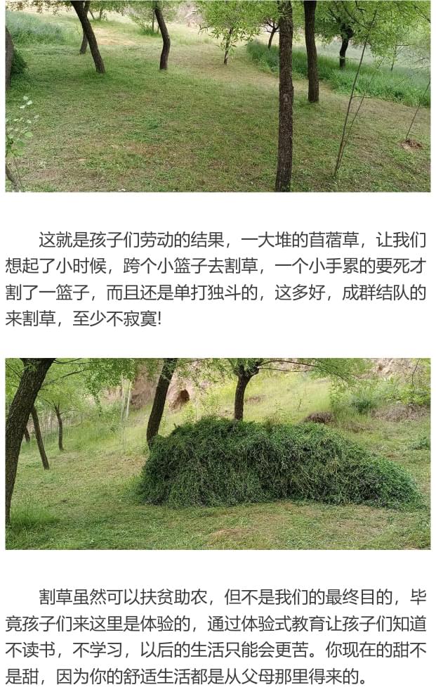 2021年李锋教育暑期夏令营第二期第八天：农家的生活怎么样_www.hnlfjy.com.cn