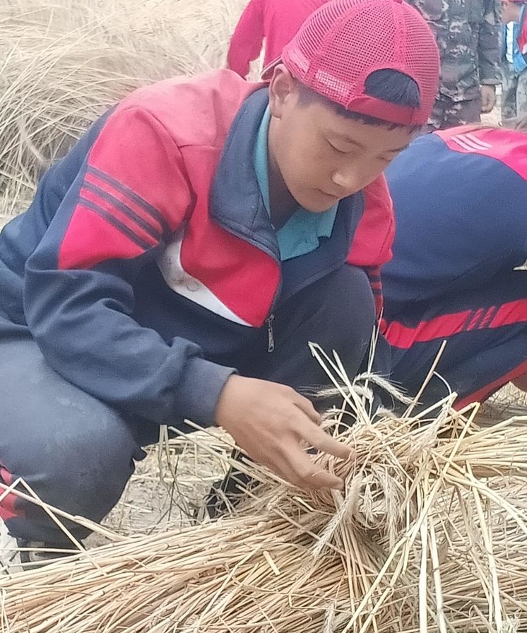 2021年李锋教育夏令营第三期第十二天：为什么要珍惜粮食 看一粒小麦的生命之旅就懂了_www.hnlfjy.com.cn