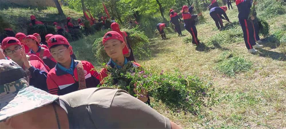 2021年李锋教育暑期夏令营第二期第四天：体验山村上学路_www.hnlfjy.com.cn