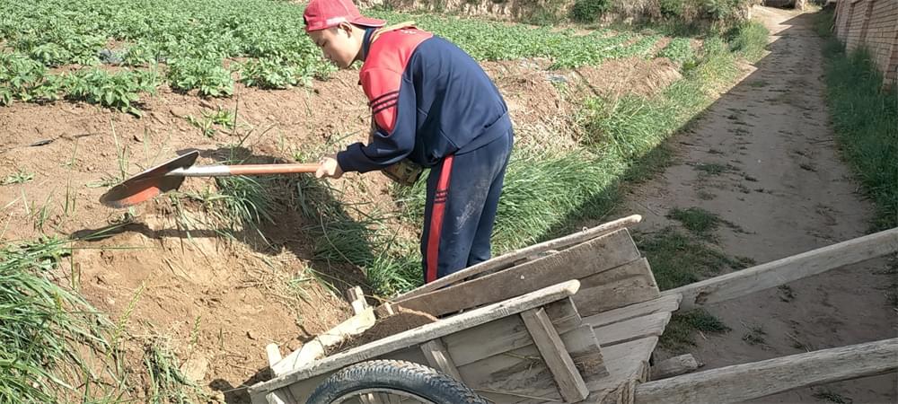 2021年李锋教育暑期夏令营第二期第二天：我们都是修路人_www.hnlfjy.com.cn