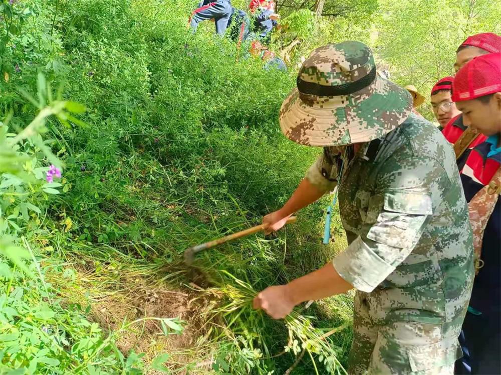 2021年李锋教育暑期夏令营第二期第三天：滴水之恩，割草相报！_www.hnlfjy.com.cn