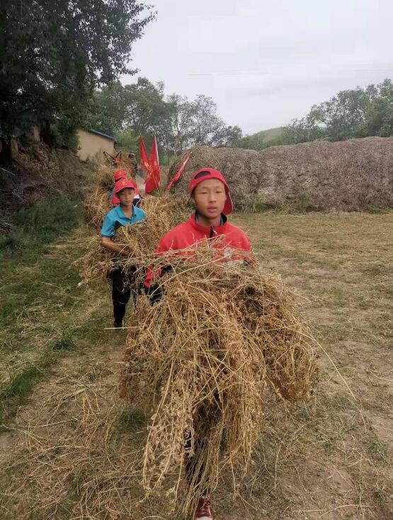 在简陋的学习环境贫困的家庭，山村的孩子怎样坚持学习？_www.hnlfjy.com.cn