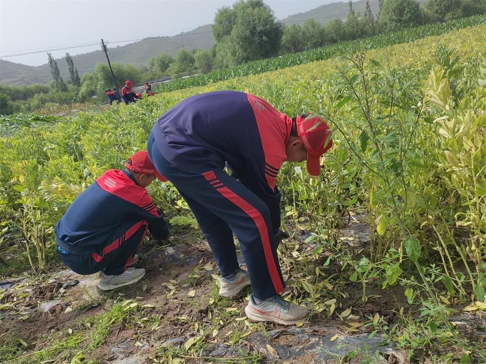 孩子总是和父母谈条件怎么办，根源在这里，父母却浑然不知！