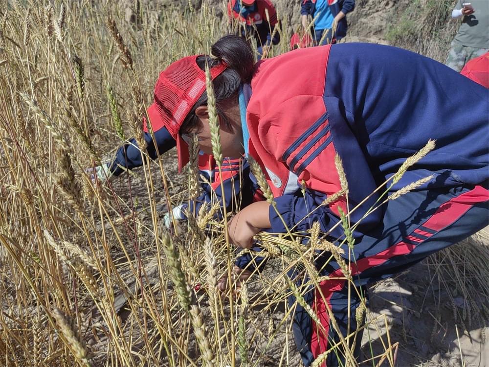 输不起的孩子难成功，挫折教育和正确批评才是娃儿的必修课_www.hnlfjy.com.cn