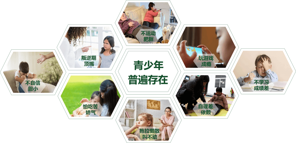 高三孩子不想上学是不是很可惜如何解决_www.hnlfjy.com.cn
