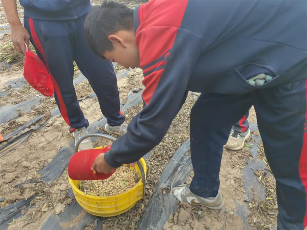 别人家的尖子生，自己家的叛逆娃，看看人家娃咋学习的！_www.hnlfjy.com.cn