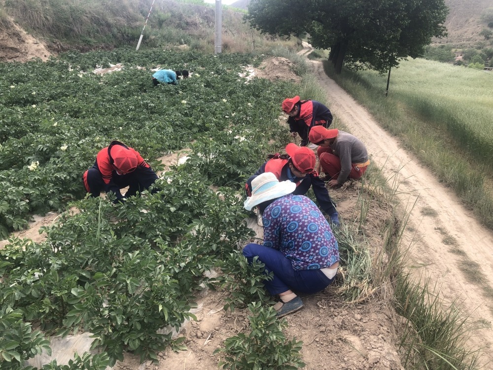  青春期孩子患上抑郁症，是选择心理医生还是心理咨询？_www.hnlfjy.com.cn