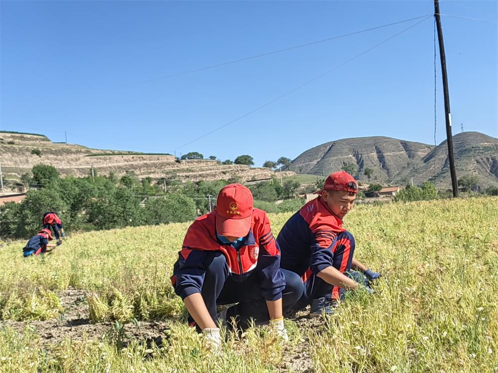  河南女生遭羞辱：4分钟89次，头套垃圾桶，被强迫拍下视频：求你们，饶了我吧……_www.hnlfjy.com.cn