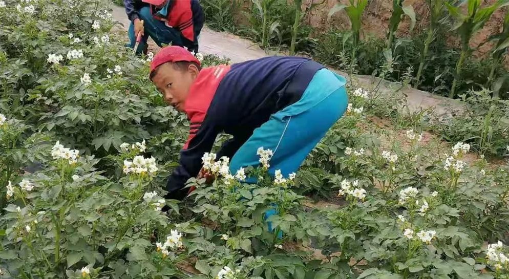 2023年李锋教育暑期夏令营招生了 - 让孩子吃点苦真的没坏处! 2023年李锋教育暑期夏令营招生了 - 让孩子吃点苦真的没坏处!_www.hnlfjy.com.cn