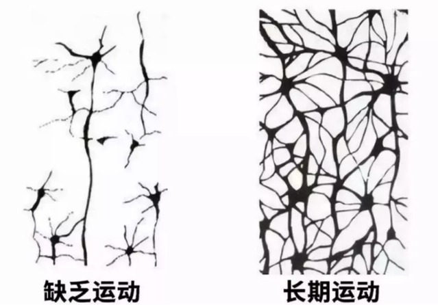 李锋谈心理：别只盯着孩子学习了，忽视孩子身心运动，叛逆只是一瞬间！_www.hnlfjy.com.cn
