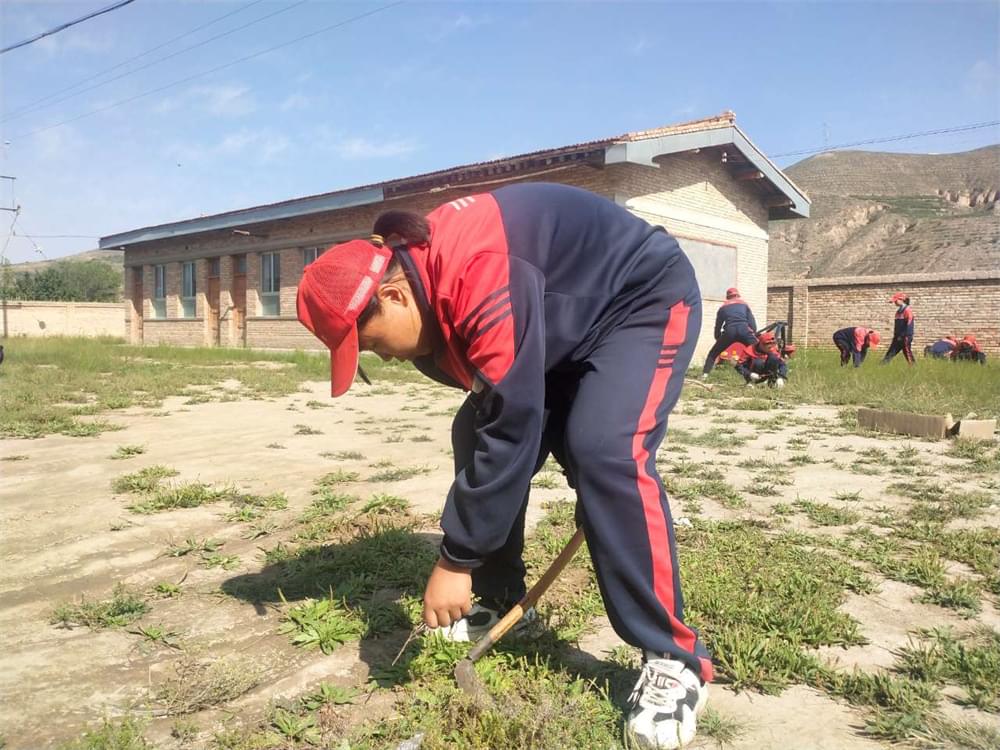 李锋教育「2023年成长不烦恼」夏令营二期第12天：走进胡麻地 干农活话农事知农情_www.hnlfjy.com.cn