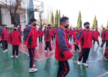 叛逆不是孩子的错，如何引导他们走向正轨？