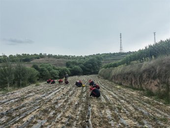 泰兴青年特训学校：助力叛逆孩子找回自我，重塑人生新篇章