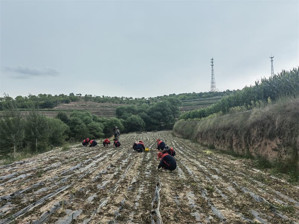 泰兴青年特训学校：助力叛逆孩子找回自我，重塑人生新篇章_www.hnlfjy.com.cn