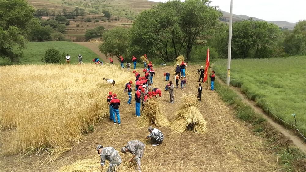 农村生活体验夏令营：让孩子们在田间地头领悟人生真谛_www.hnlfjy.com.cn