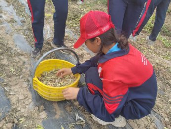 山区变形计夏令营：体验艰辛，铸就卓越成长之旅