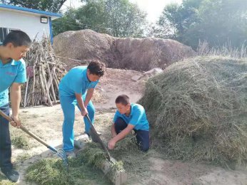 吃苦磨炼山村夏令营：现代青少年不可或缺的成长课堂