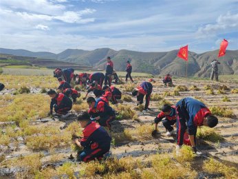 青少年吃苦夏令营：一对一辅导，助力孩子全方位成长