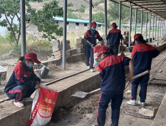 爱心夏令营：孩子们携手助力贫困农户，体验劳动之美，感悟成长之路