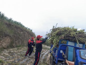 警惕！“过度富养”现象：父母之爱，何以成害？