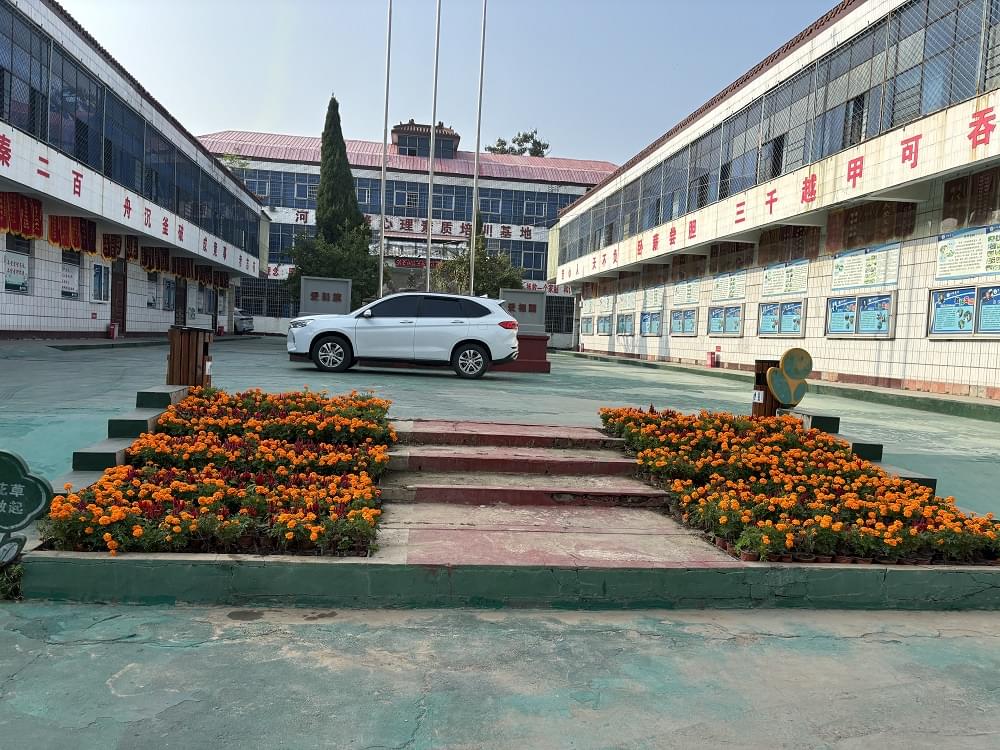 岁岁重阳，情暖金秋 —— 共赏重阳佳节之美_www.hnlfjy.com.cn