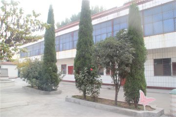 理性看待李锋教育骗子传言，深入了解李锋教育集团