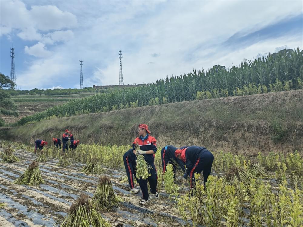 深入山区，探索自然与成长——“山区变形计”夏令营纪实_www.hnlfjy.com.cn