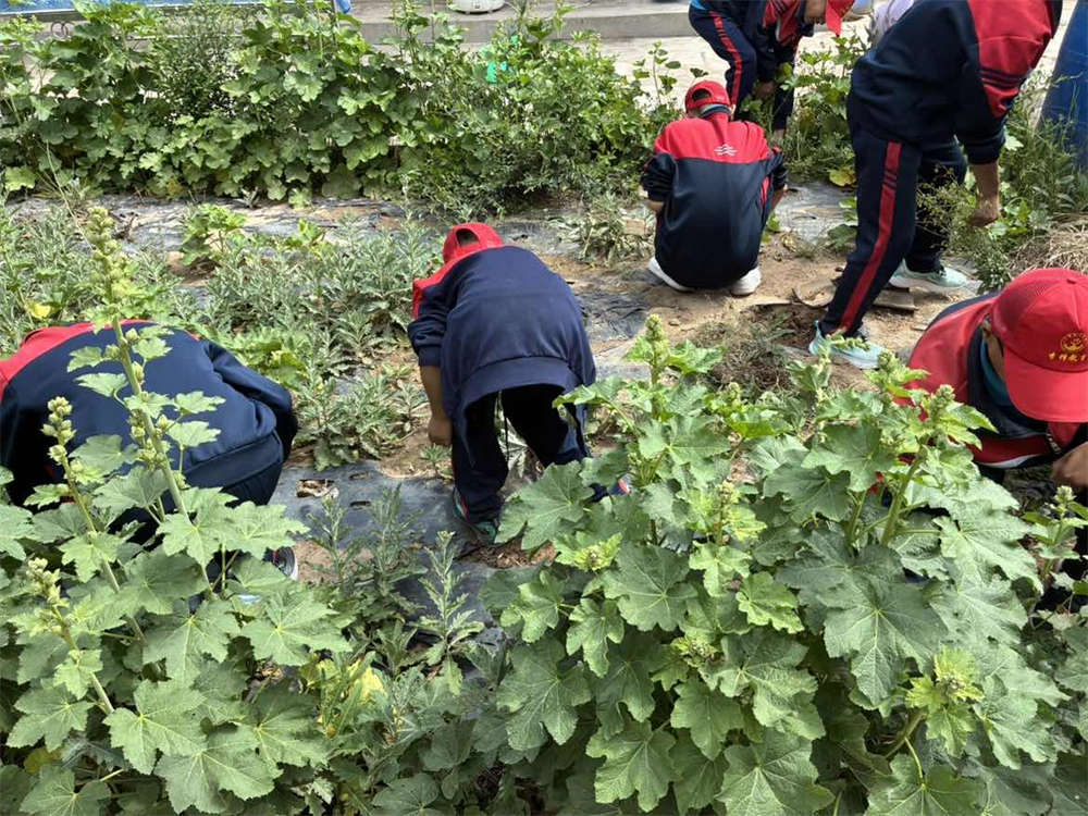 ‌贫困山村夏令营：一次让孩子学会珍惜的旅程_www.hnlfjy.com.cn