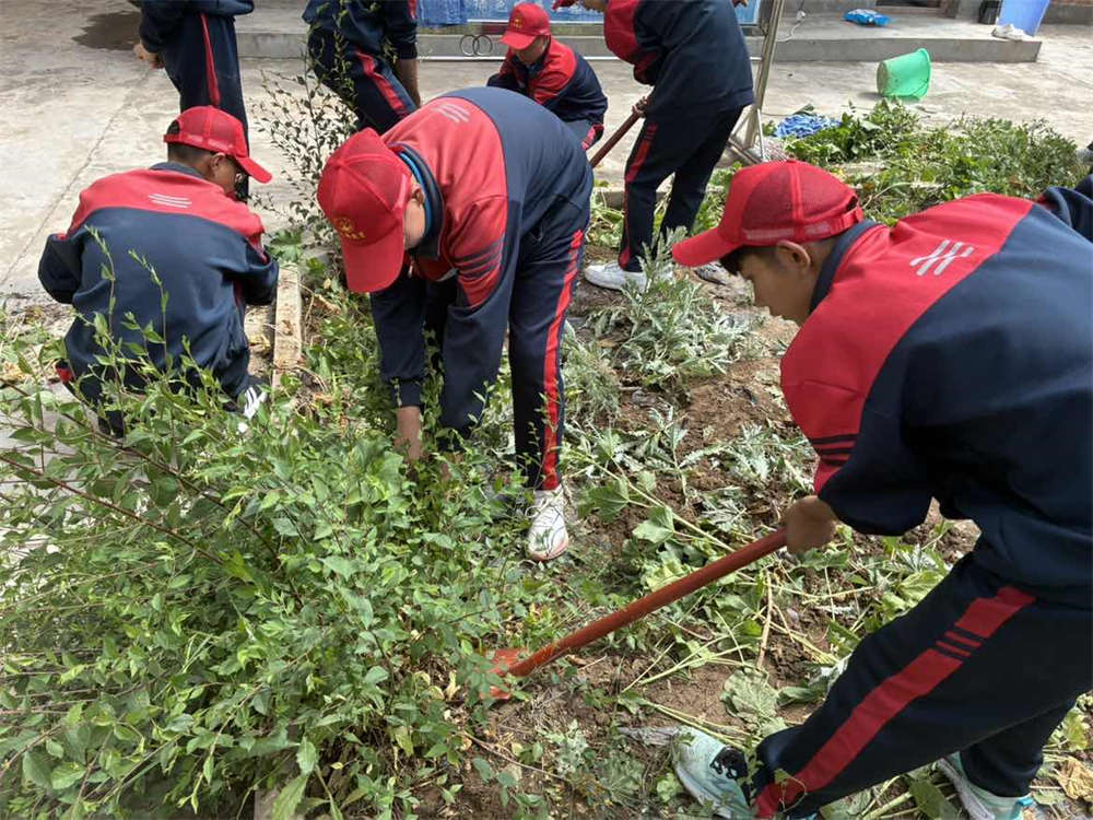 我心中的田园诗篇：农村生活向往与夏令营的契合_www.hnlfjy.com.cn