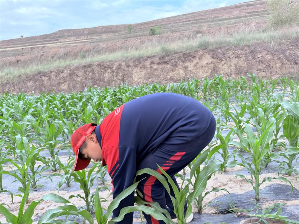 贫困山村磨炼夏令营：心灵的洗礼，未来的绽放_www.hnlfjy.com.cn