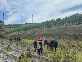 深入山区，探索自然与成长——“山区变形计”夏令营纪实