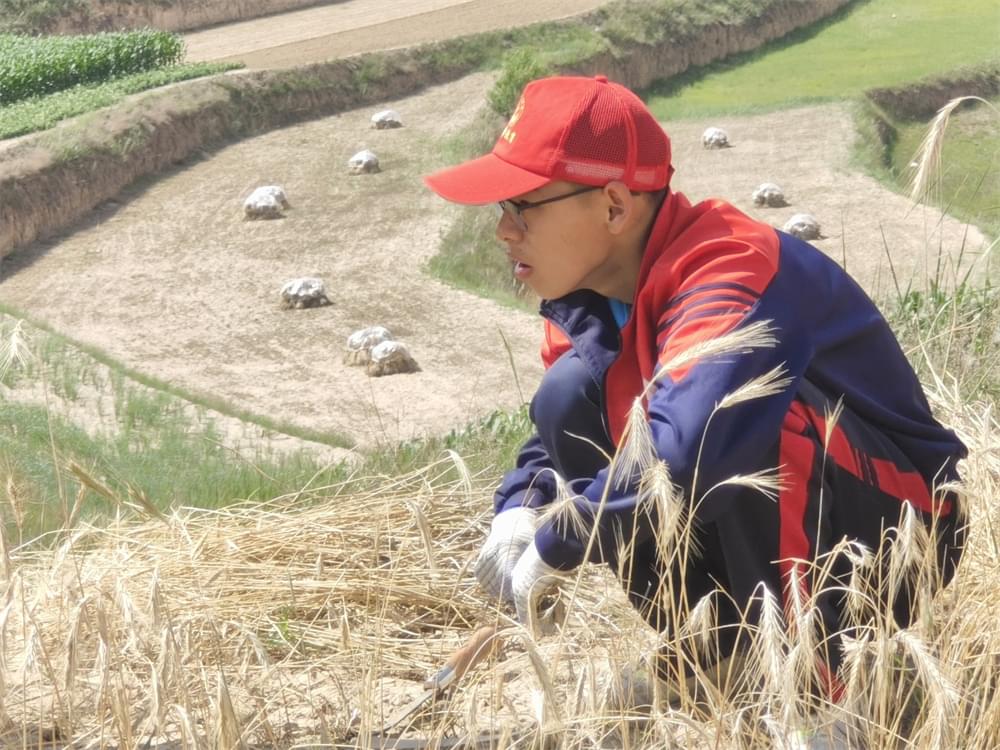 从城市到山村，李锋夏令营让孩子在农活中快速成长！_www.hnlfjy.com.cn