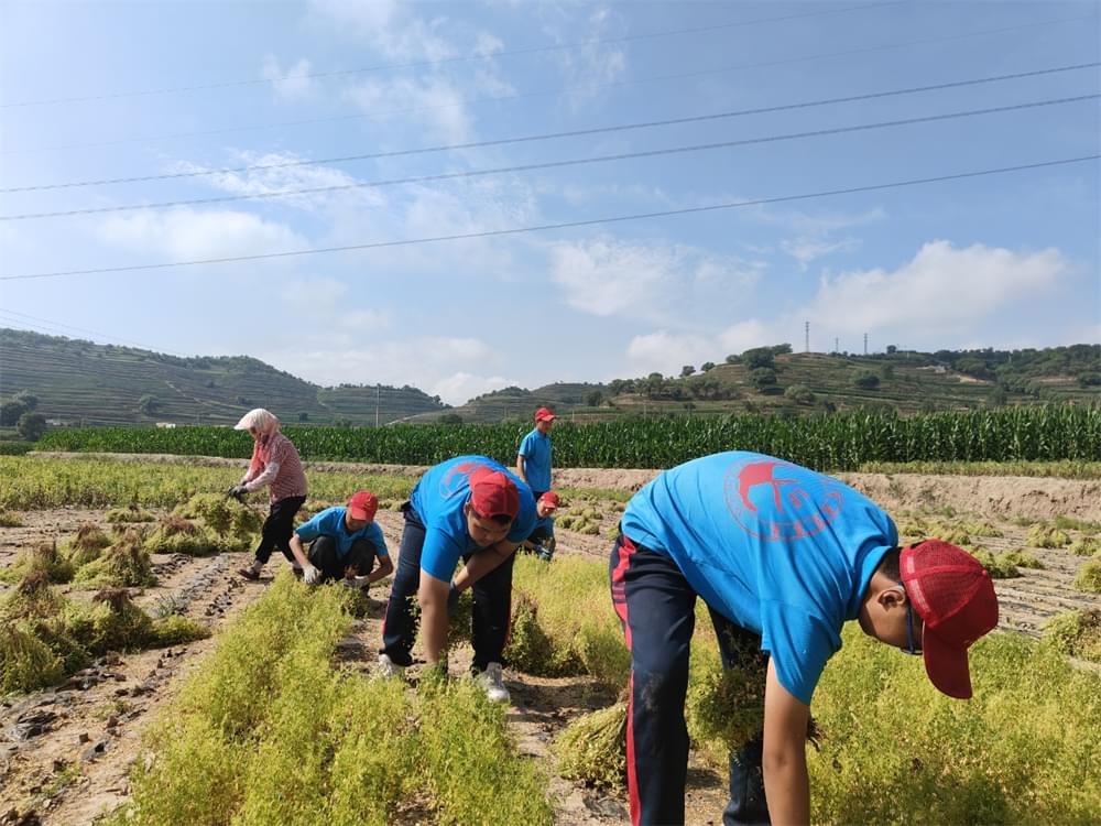‌暑期磨炼山村夏令营：叛逆少年的心灵救赎之旅_www.hnlfjy.com.cn