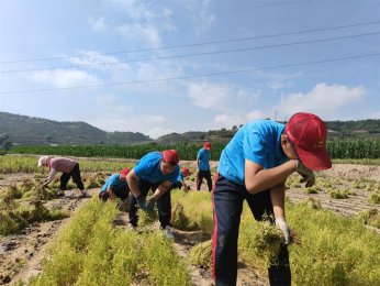 别再误解！山村夏令营，孩子劳动与心灵的双重丰收！