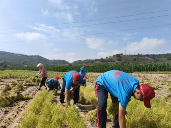 暑期贫困山村夏令营的宝贵经历：照亮前行之路