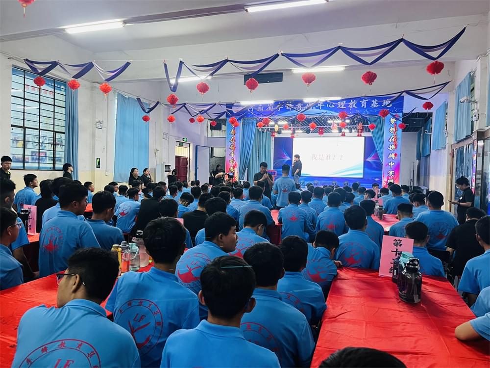 少年独白：青春期孩子迷雾中的觉醒与自我救赎_www.hnlfjy.com.cn