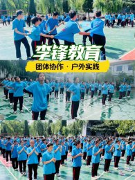 初中成绩断崖式下滑的7个隐藏真相（2026教育内参版）
