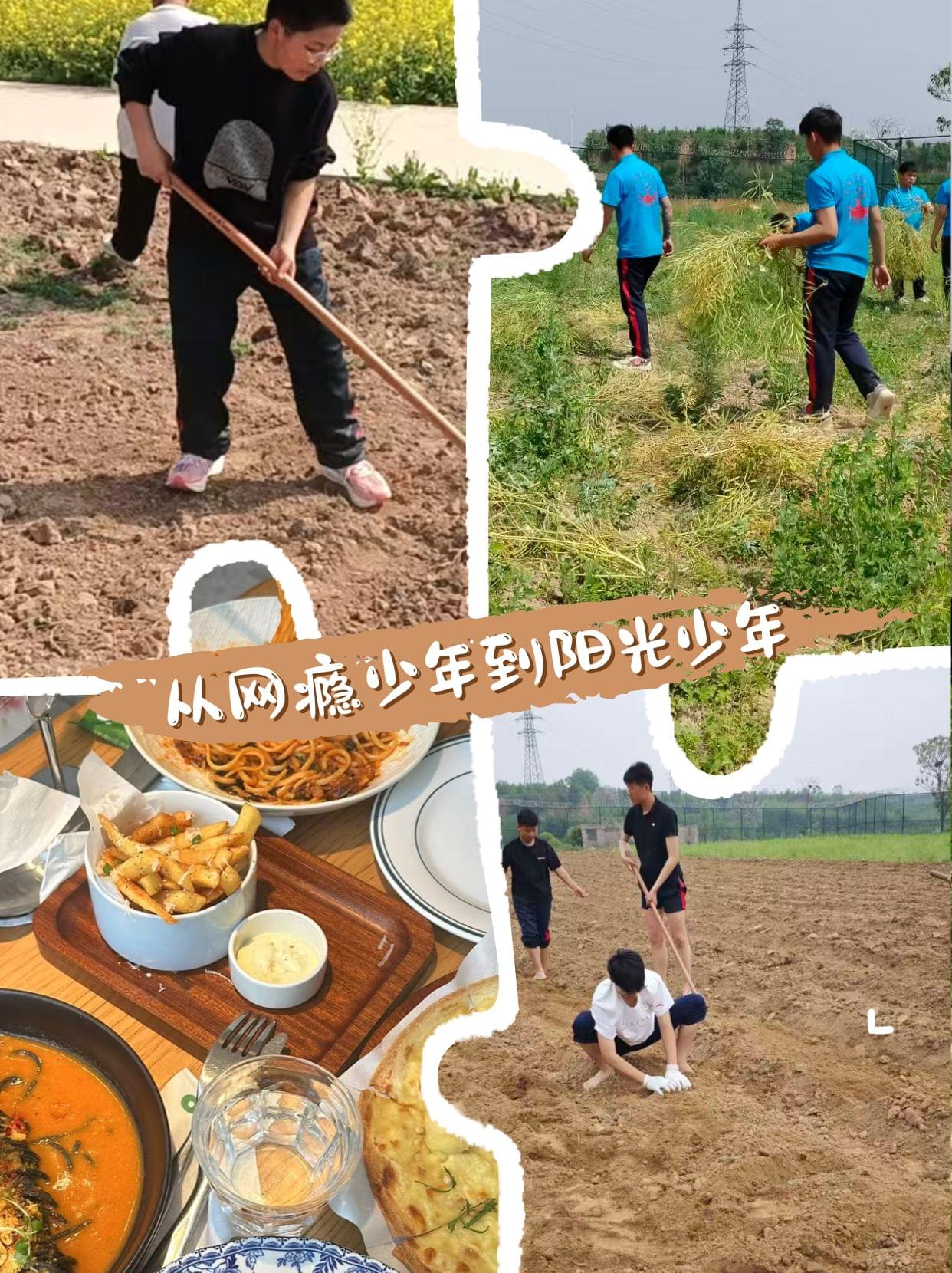 高情商孩子背后，都站着这样的父亲！李锋教育揭秘情商培养的5大黄金法则_www.hnlfjy.com.cn